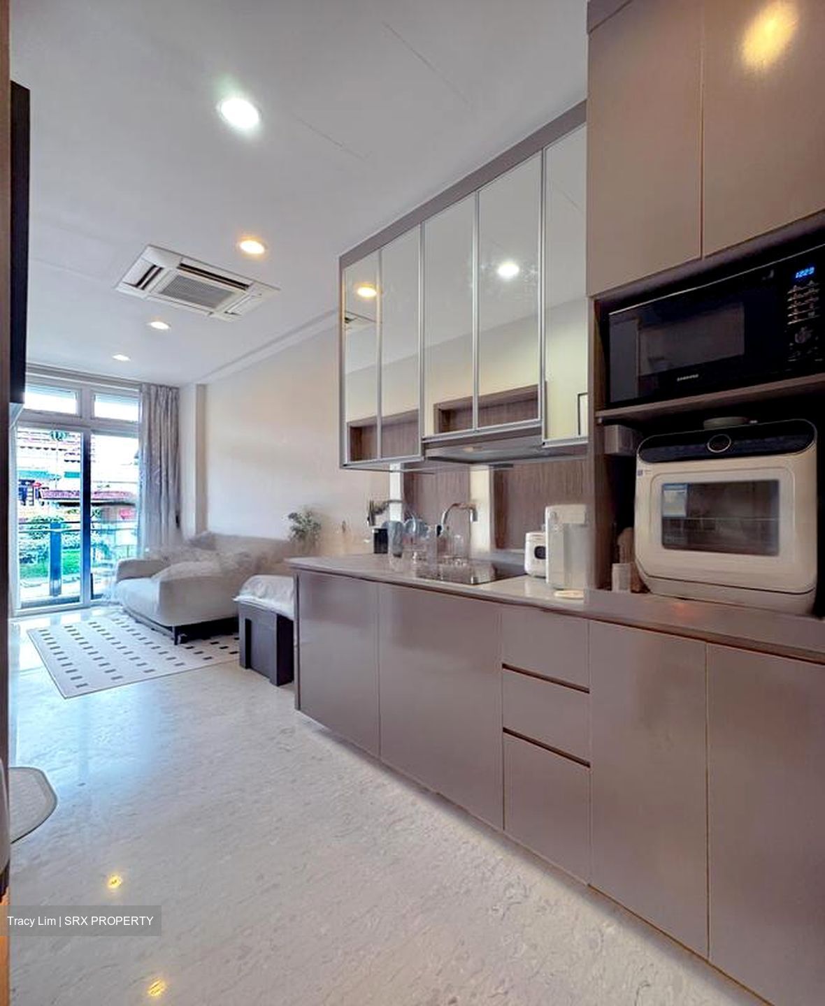 Suites @ Bukit Timah (D21), Apartment #477178611